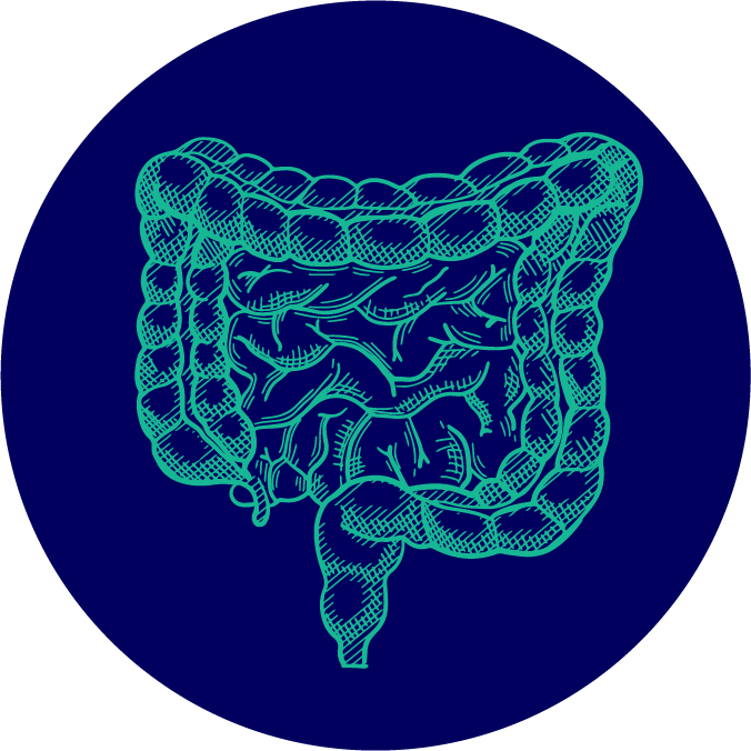 Gut Health