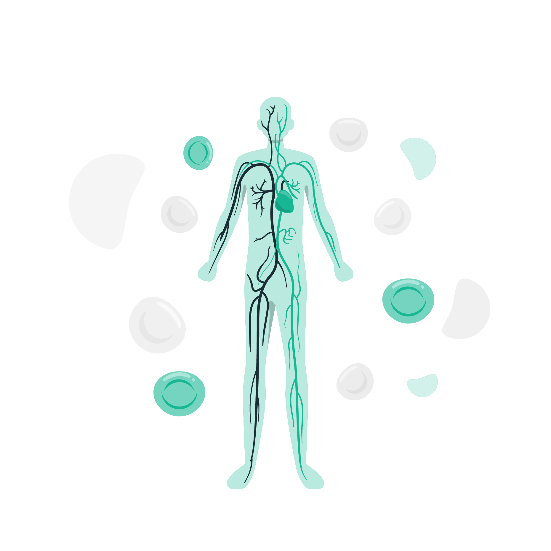 Full Body Checkup - Essential